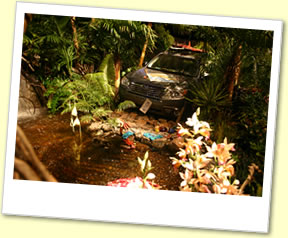 2008 Garden Show