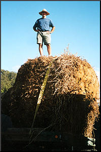 Gary on Larry's Root Ball